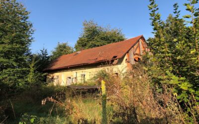 Van droom tot offgrid Retraite plek in Tsjechië